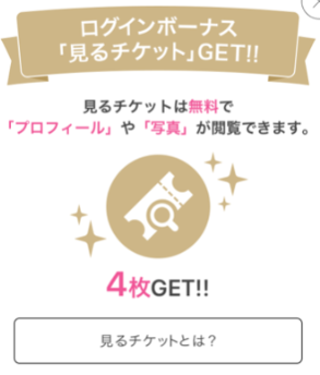 見るチケット